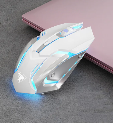 Mouse & Accessories
