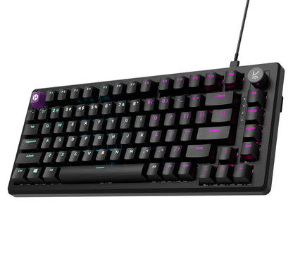 Kreo Hive 65 RGB Mechanical Gaming Keyboard | Pre-Lubed Switches, Anti-Ghosting, 5-Pin Hot-Swap | Wired 65% Keyboard with RGB Backlight & Detachable USB-C Cable (Black)