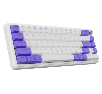 Kreo Hive 65 RGB Mechanical Gaming Keyboard | Pre-Lubed Switches, Anti-Ghosting, 5-Pin Hot-Swap | Wired 65% Keyboard with RGB Backlight & Detachable USB-C Cable (Black)