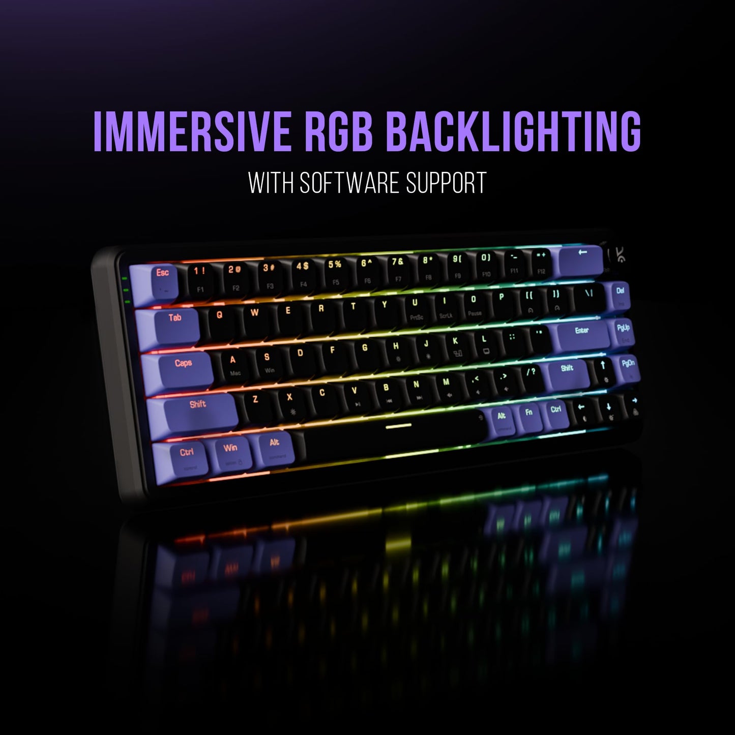 Kreo Hive 65 RGB Mechanical Gaming Keyboard | Pre-Lubed Switches, Anti-Ghosting, 5-Pin Hot-Swap | Wired 65% Keyboard with RGB Backlight & Detachable USB-C Cable (Black)