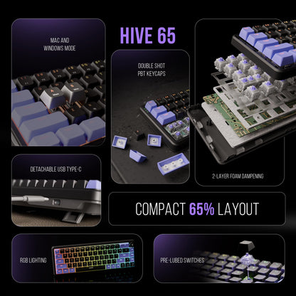 Kreo Hive 65 RGB Mechanical Gaming Keyboard | Pre-Lubed Switches, Anti-Ghosting, 5-Pin Hot-Swap | Wired 65% Keyboard with RGB Backlight & Detachable USB-C Cable (Black)